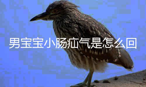 男宝宝小肠疝气是怎么回事?