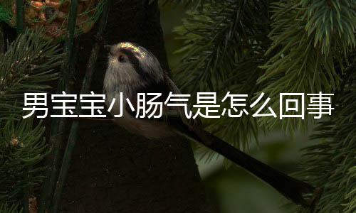 男宝宝小肠气是怎么回事?