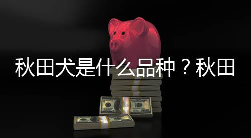 秋田犬是什么品种?秋田犬怎么养?