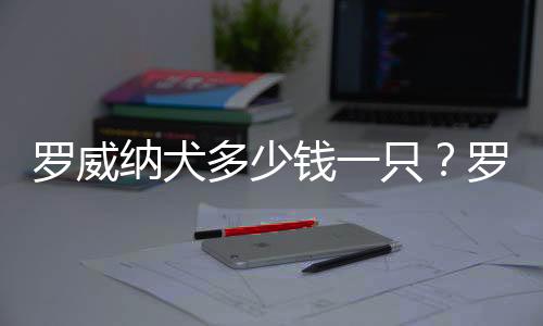 罗威纳犬多少钱一只?罗威纳犬如何喂养?