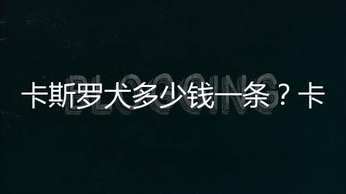 卡斯罗犬多少钱一条?卡斯罗犬怎样训练?