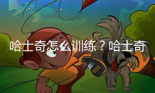 哈士奇怎么训练?哈士奇吃什么?