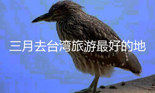 三月去台湾旅游最好的地方