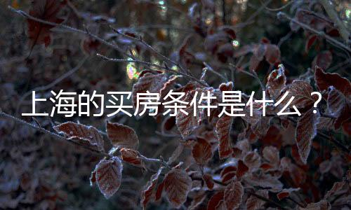 上海的买房条件是什么?在上海买房的条件