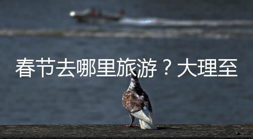 春节去哪里旅游?大理至双廊旅游攻略