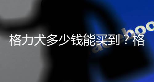 格力犬多少钱能买到？格力犬如何喂养？
