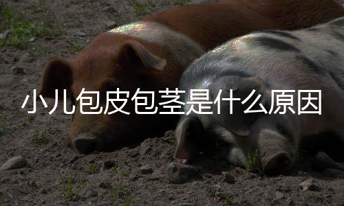 小儿包皮包茎是什么原因?