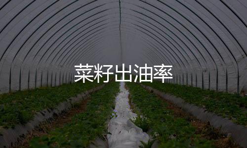 菜籽出油率