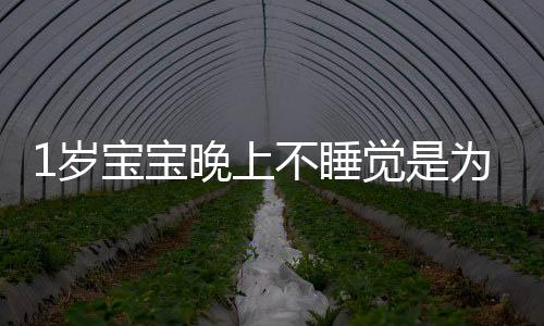 1岁宝宝晚上不睡觉是为什么
