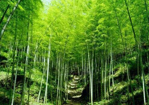 人少景美！五一小長(cháng)假最適合出游的的當地