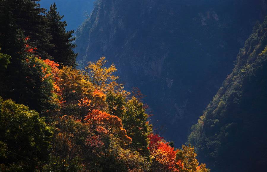 【川藏線(xiàn)旅行租車(chē)】最終的米亞羅，真實(shí)的彩林天堂